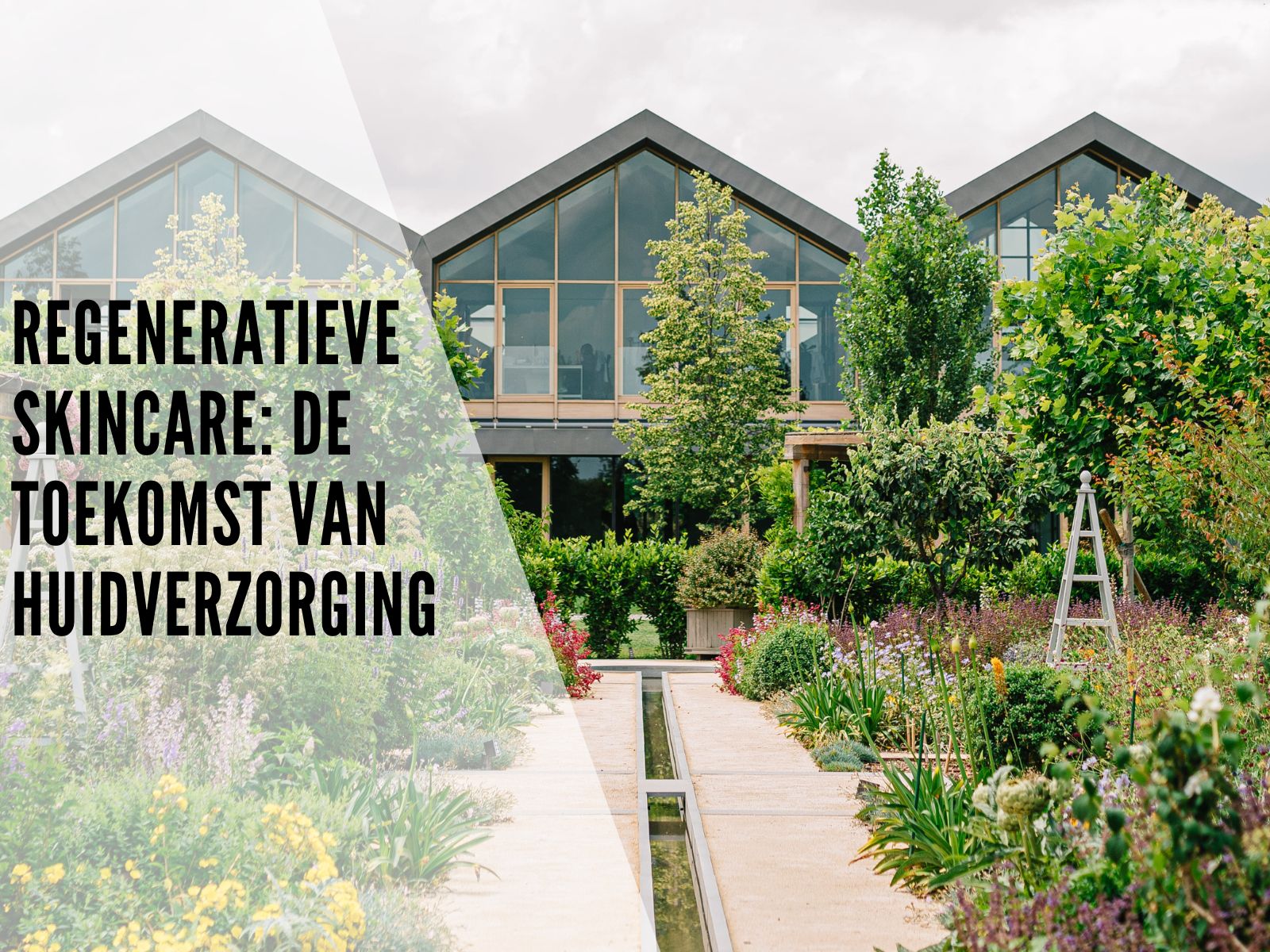 Regeneratieve Skincare: De toekomst van huidverzorging